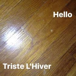 Triste L'Hiver : Hello
